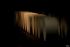 Roqueforts en cave