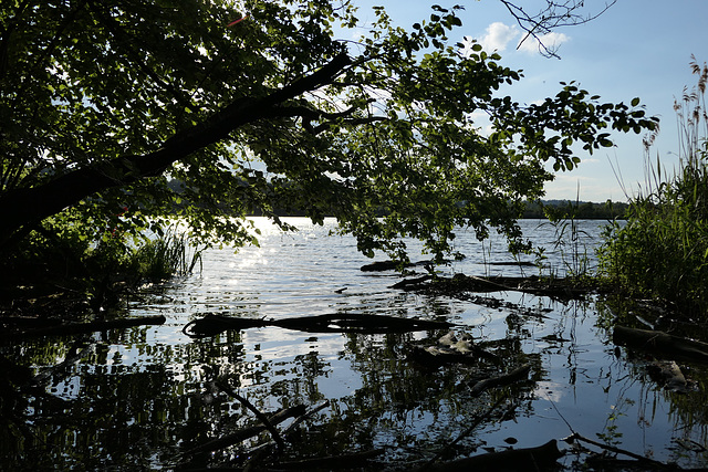 am Bärensee