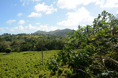 Dominican Republic, Hills of Eastern Cordillera