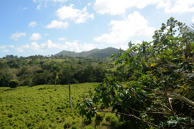 Dominican Republic, Hills of Eastern Cordillera