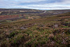 The Snake pass from Black moor