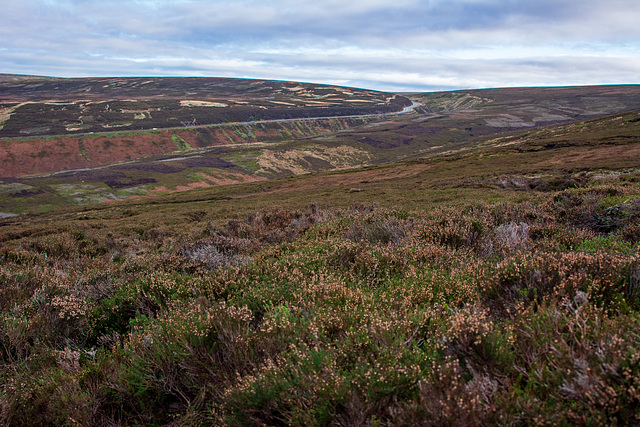The Snake pass from Black moor
