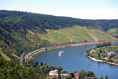 Rhein bei Boppard vom Sabelsköpfchen