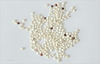 Quinoa