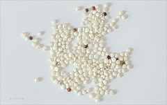 Quinoa