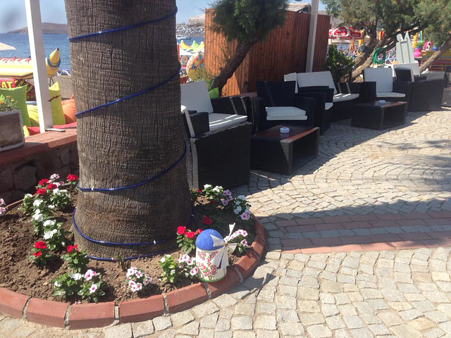 Outside the hotel where Dogan works