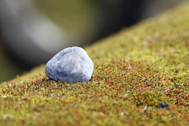 The stone and the moss
