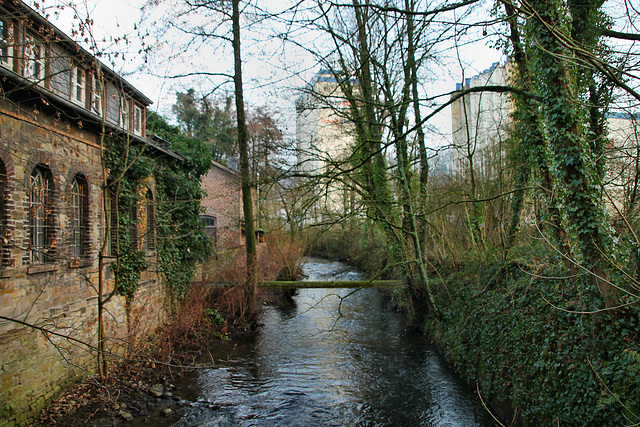 Der Deilbach beim Kupferhammer (Essen-Kupferdreh) / 10.01.2021