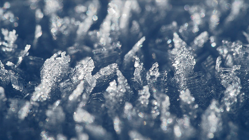 2022-02-12 12'20'51 E-M5 0075