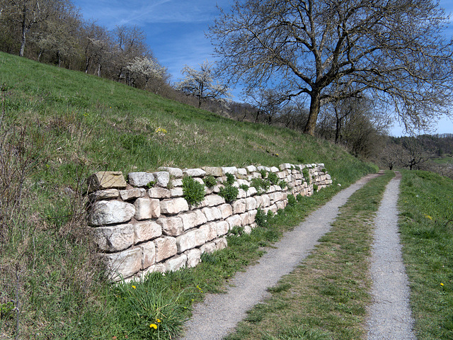 Tockenmauer