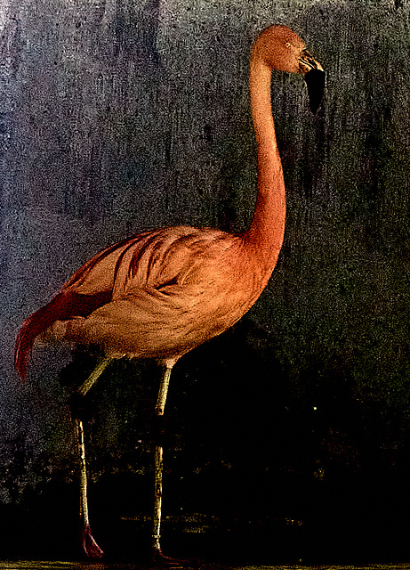 Tierpark Straubing