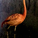 Tierpark Straubing