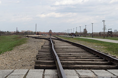 Poland Auschwitz-Birkenau  (#2355)