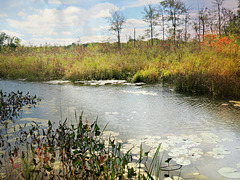 October at the nature center