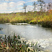 October at the nature center