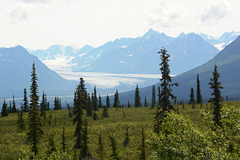 Alaska, The Matanuska Glacier from Glenn Highway