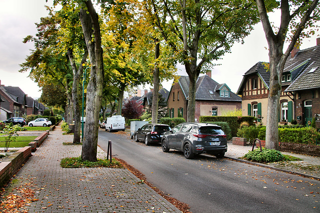 Eisenstraße (Siedlung Rheinpreußen, Duisburg-Hochheide) / 3.10.2022