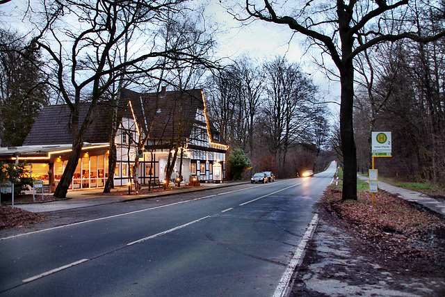 Halterner Straße am Waldhaus "Halter Pforte" (Haard, Marl-Sinsen) / 26.12.2023