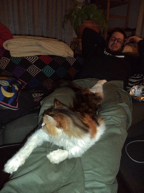 Leeloo and William's lap