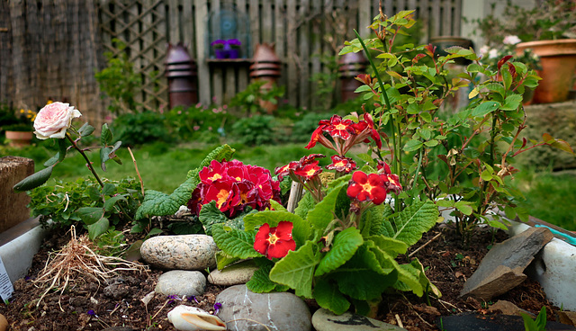 Spring in the Garden