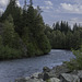 am Cheakamus River (© Buelipix)