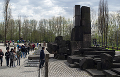 Poland Auschwitz-Birkenau  (#2359)