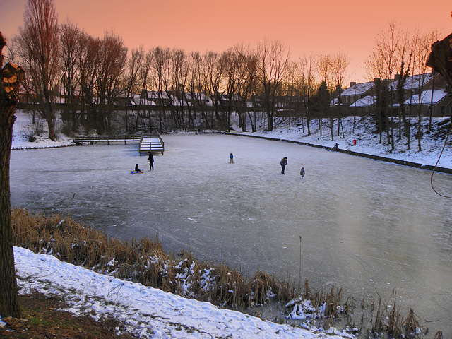 Winter Fun- LTM .Pond