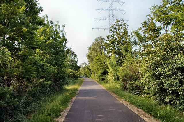 Ehemalige Erzbahn (Wanne-Eickel) / 21.05.2018