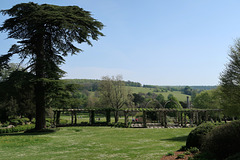 Cedar, Pergola