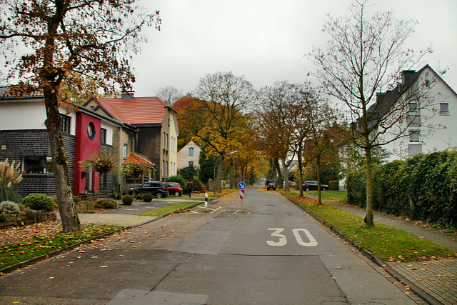 Sydowstraße (Waltrop-Brockenscheidt) / 17.11.2019