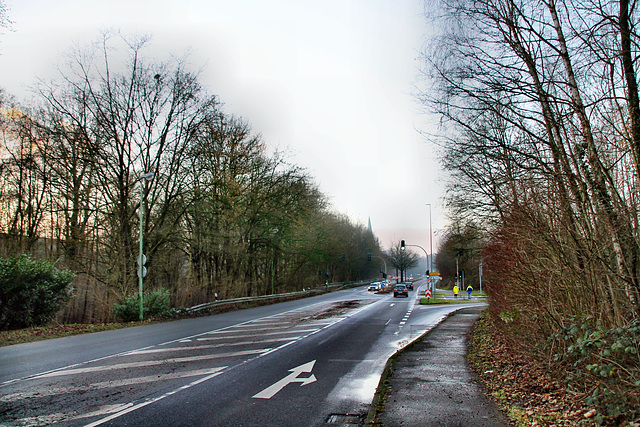 Nierenhofer Straße (Essen-Kupferdreh) / 10.01.2021