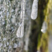 2022-02-12 15'49'05 E-M5 0335