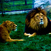 Tierpark Straubing