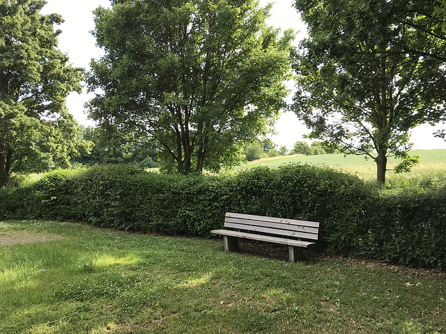 Schattiges Plätzchen (HBM)