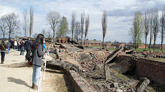 Poland Auschwitz-Birkenau  (#2360)