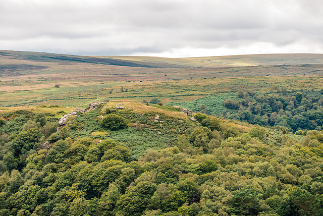 Dartmoor - 20150831