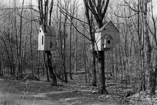 19.03.31 03 Waldkunstpfad Baumhäuser