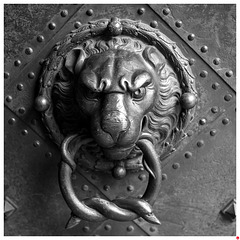 Türklopfer an einem Portal vom Residenzschloss Dresden