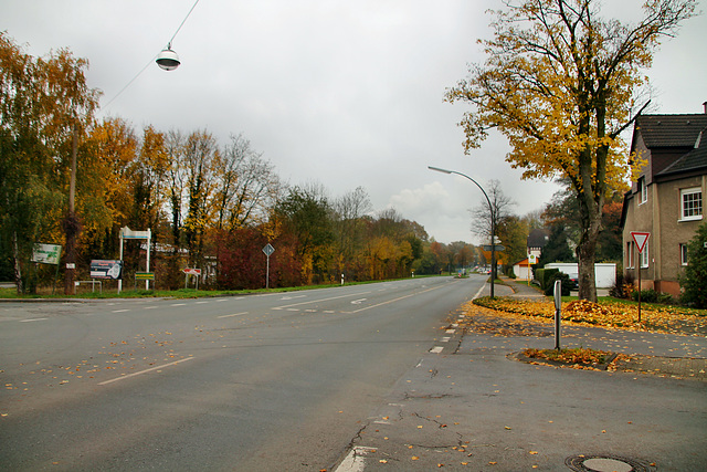 Brambauerstraße (Waltrop) / 17.11.2019