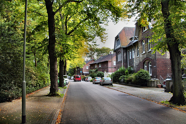 Baumstraße (Duisburg-Homberg) / 3.10.2022