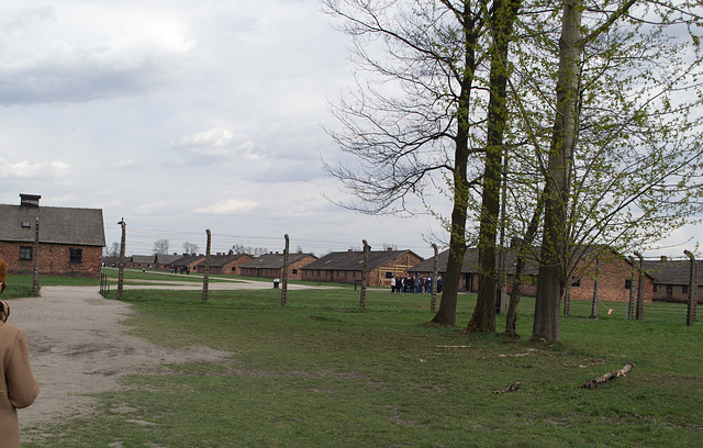 Poland Auschwitz-Birkenau  (#2361)