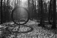 19.03.31 07 Waldkunstpfad Big Wheel