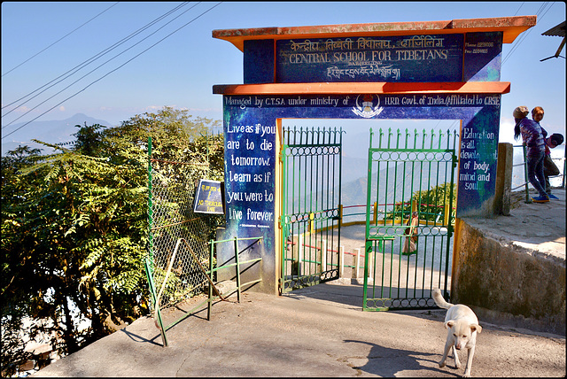 Central School for Tibetans