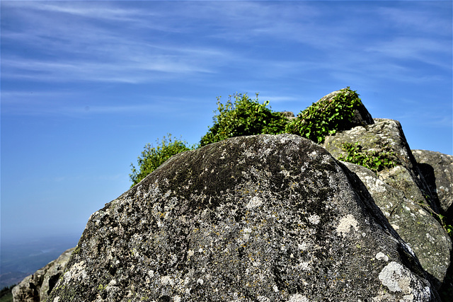 Picos da Fóia