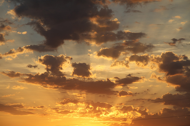 couché de soleil derrière les fils électriques