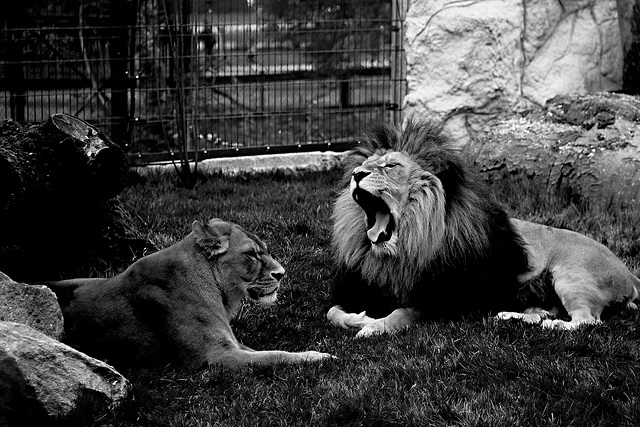 Tierpark Straubing