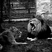 Tierpark Straubing