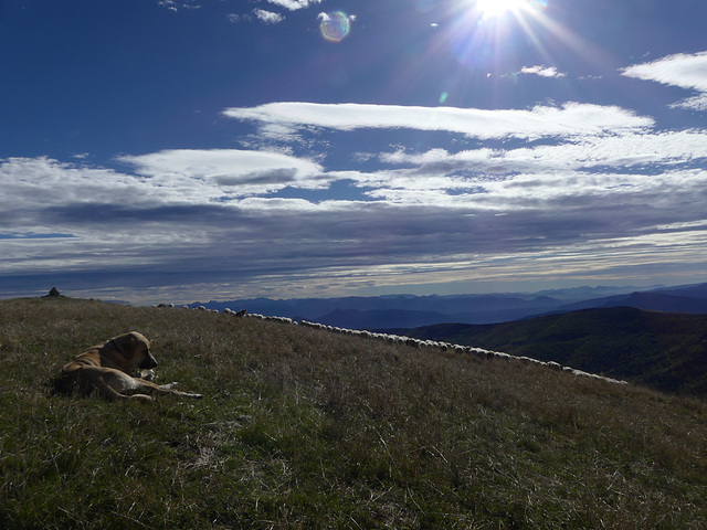 20250926 -1005 Haut diois (Vallee Roanne Charens Valdrôme) (112) 20250926 -1005 Haut diois (Vallee Roanne Charens Valdrôme) (112)