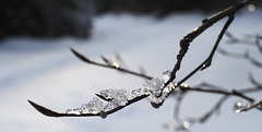 2022-02-12 16'48'50 E-M5 0439