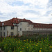 View From The Stadtpark